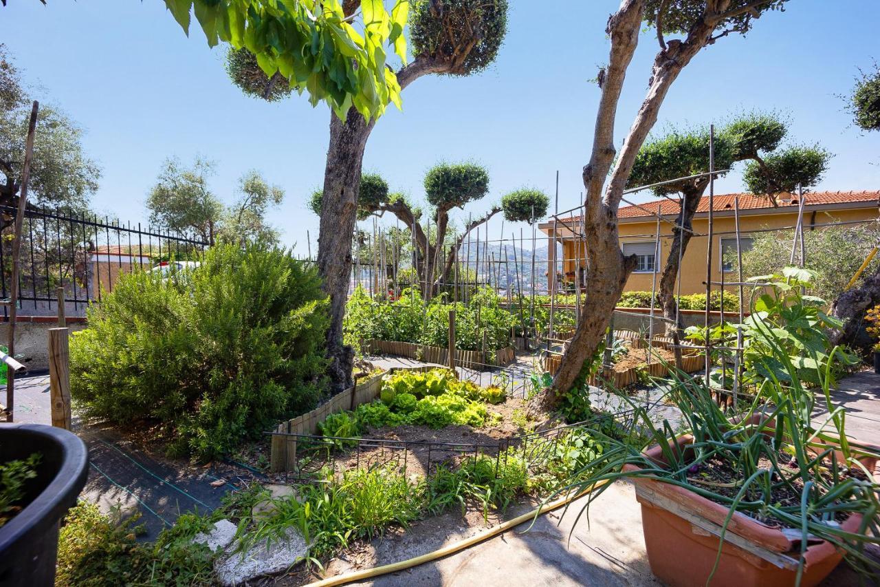 Ca Dei Tati - Citra 1181 Lägenhet Imperia Exteriör bild